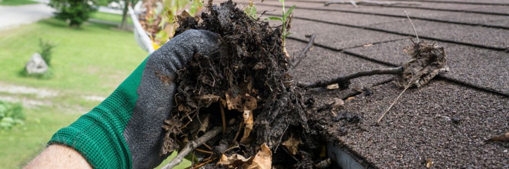 Window and Gutter Cleaning in Salem, OR